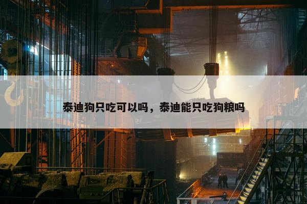 泰迪狗只吃可以吗，泰迪能只吃狗粮吗