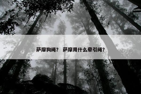 萨摩狗绳？ 萨摩用什么牵引绳？