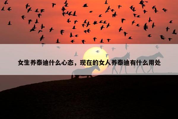 女生养泰迪什么心态，现在的女人养泰迪有什么用处