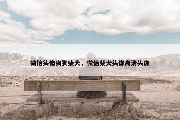 微信头像狗狗柴犬，微信柴犬头像高清头像