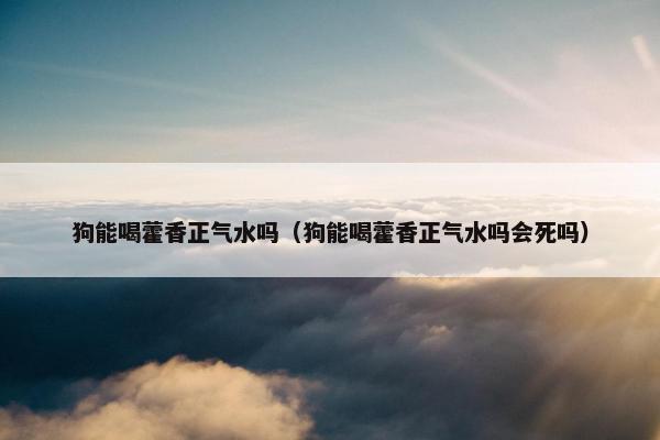 狗能喝藿香正气水吗（狗能喝藿香正气水吗会死吗）