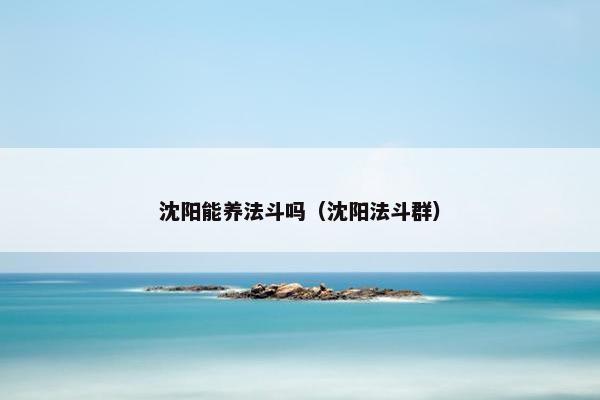 沈阳能养法斗吗（沈阳法斗群）