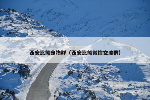 西安比熊宠物群（西安比熊微信交流群）