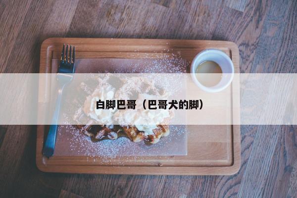 白脚巴哥（巴哥犬的脚）