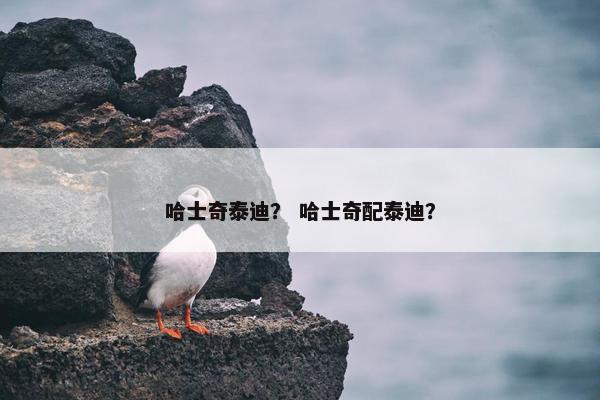 哈士奇泰迪？ 哈士奇配泰迪？