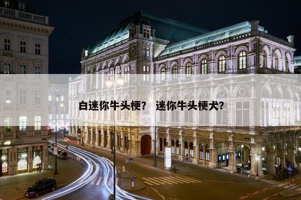 白迷你牛头梗？ 迷你牛头梗犬？