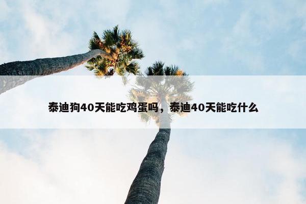 泰迪狗40天能吃鸡蛋吗，泰迪40天能吃什么