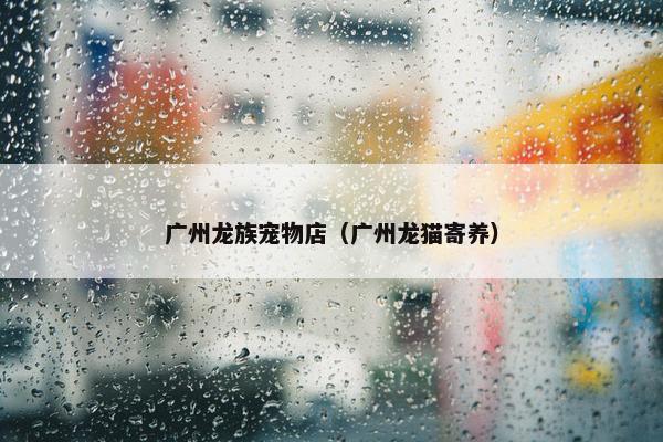 广州龙族宠物店（广州龙猫寄养）
