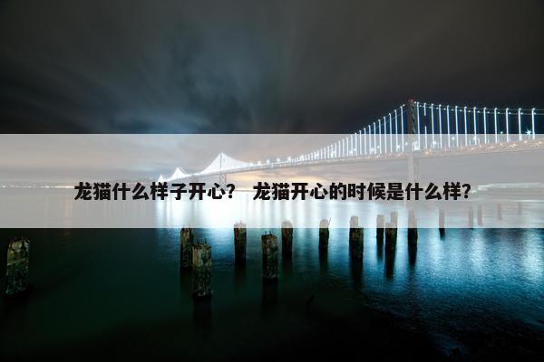 龙猫什么样子开心？ 龙猫开心的时候是什么样？