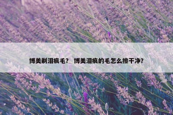 博美剃泪痕毛？ 博美泪痕的毛怎么擦干净？