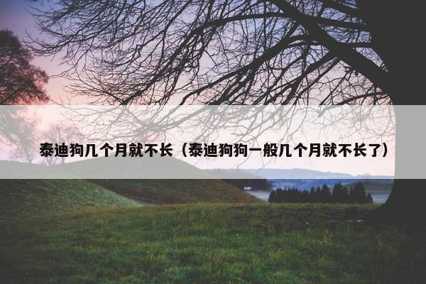 泰迪狗几个月就不长（泰迪狗狗一般几个月就不长了）