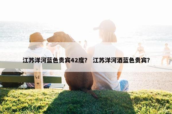 江苏洋河蓝色贵宾42度？ 江苏洋河酒蓝色贵宾？