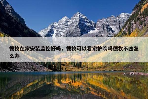德牧在家安装监控好吗，德牧可以看家护院吗德牧不凶怎么办