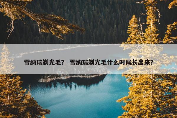 雪纳瑞剃光毛？ 雪纳瑞剃光毛什么时候长出来？