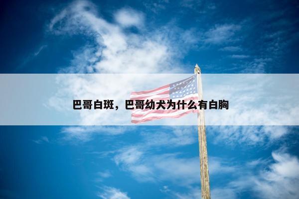 巴哥白斑，巴哥幼犬为什么有白胸