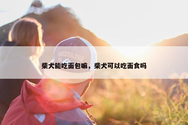 柴犬能吃面包嘛，柴犬可以吃面食吗