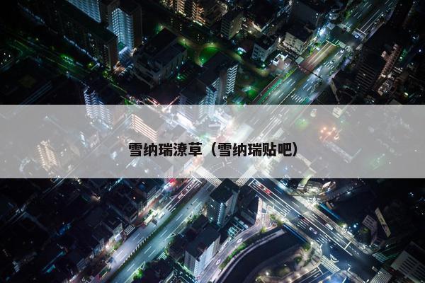 雪纳瑞潦草(雪纳瑞贴吧) 雪纳瑞潦草(雪纳瑞贴吧)