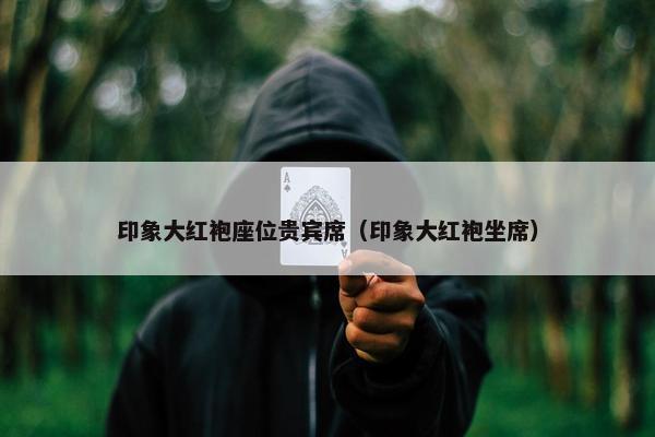 印象大红袍座位贵宾席（印象大红袍坐席）