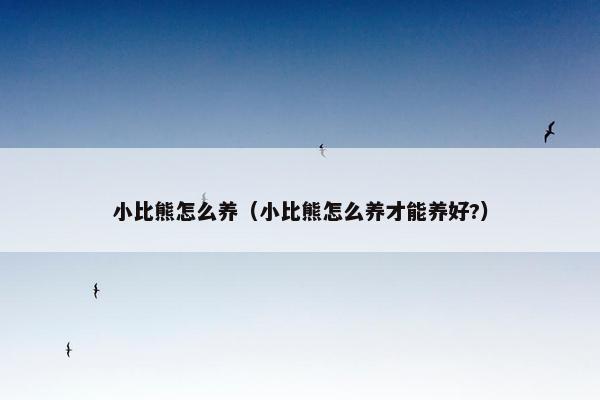 小比熊怎么养（小比熊怎么养才能养好?）