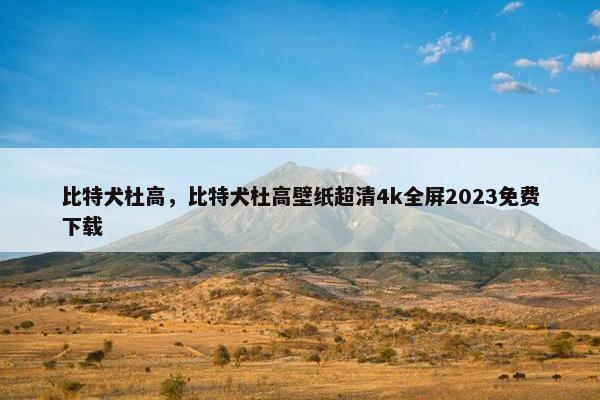 比特犬杜高，比特犬杜高壁纸超清4k全屏2023免费下载