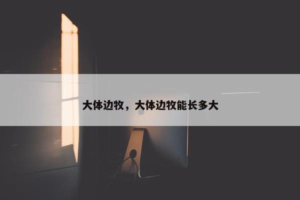 大体边牧，大体边牧能长多大