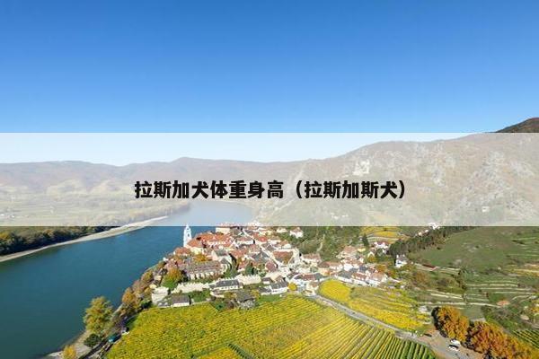 拉斯加犬体重身高（拉斯加斯犬）