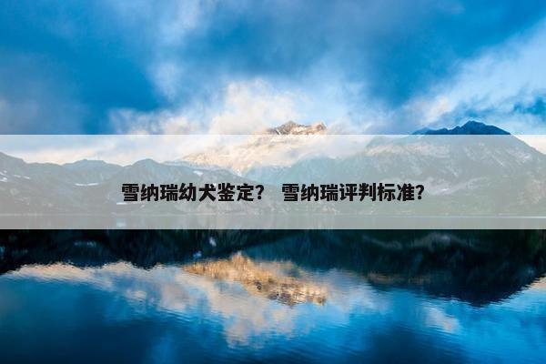 雪纳瑞幼犬鉴定？ 雪纳瑞评判标准？