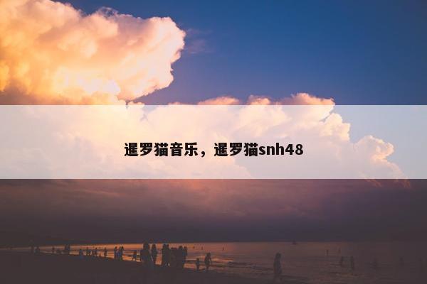 暹罗猫音乐，暹罗猫snh48