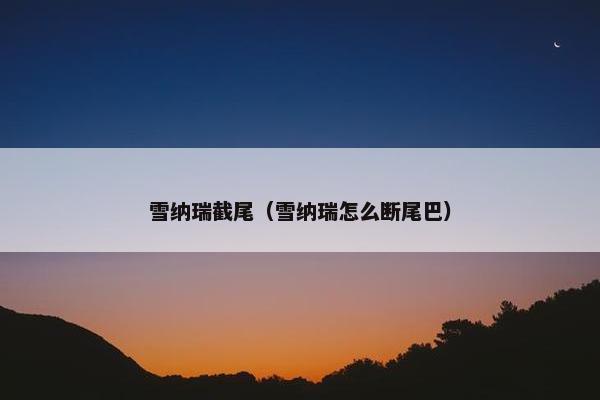 雪纳瑞截尾（雪纳瑞怎么断尾巴）