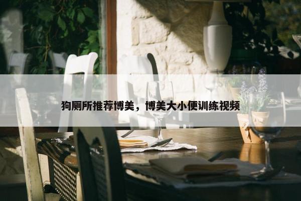 狗厕所推荐博美，博美大小便训练视频