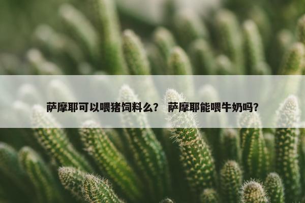 萨摩耶可以喂猪饲料么？ 萨摩耶能喂牛奶吗？