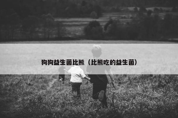 狗狗益生菌比熊（比熊吃的益生菌）