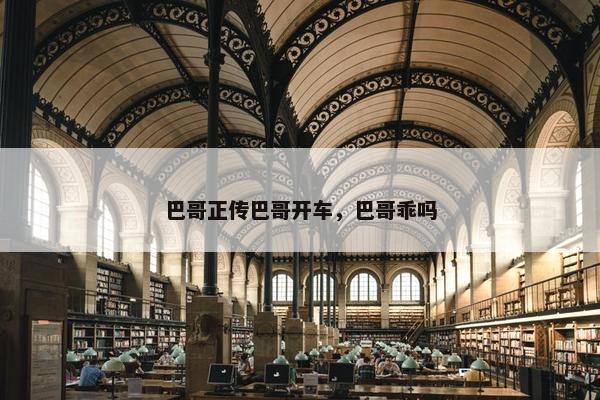 巴哥正传巴哥开车，巴哥乖吗