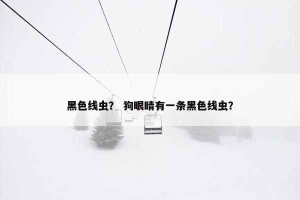 黑色线虫？ 狗眼睛有一条黑色线虫？