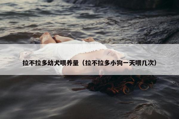 拉不拉多幼犬喂养量（拉不拉多小狗一天喂几次）