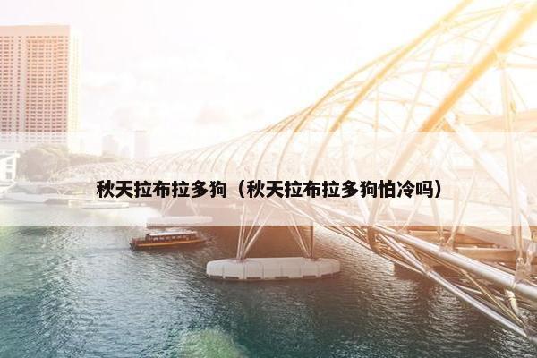 秋天拉布拉多狗（秋天拉布拉多狗怕冷吗）