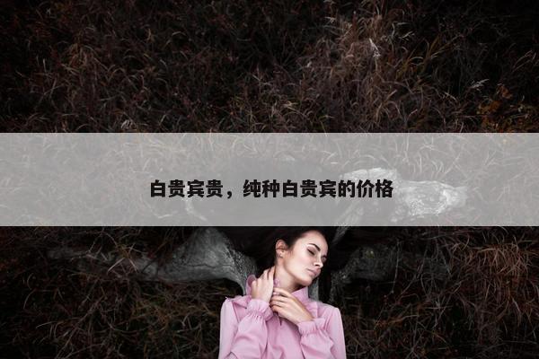 白贵宾贵，纯种白贵宾的价格