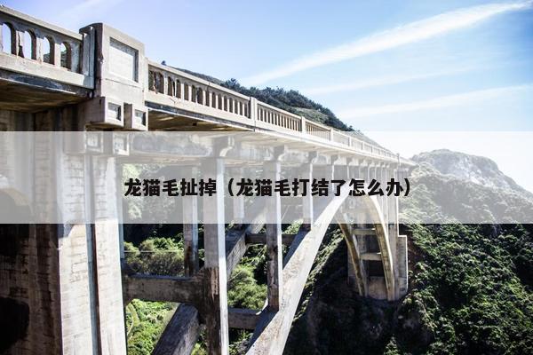 龙猫毛扯掉（龙猫毛打结了怎么办）