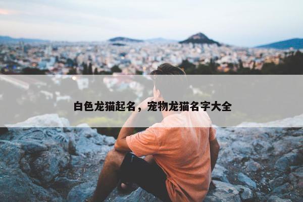 白色龙猫起名，宠物龙猫名字大全