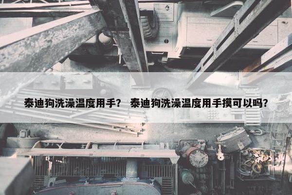 泰迪狗洗澡温度用手？ 泰迪狗洗澡温度用手摸可以吗？