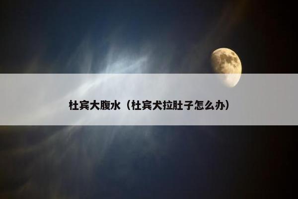 杜宾大腹水（杜宾犬拉肚子怎么办）