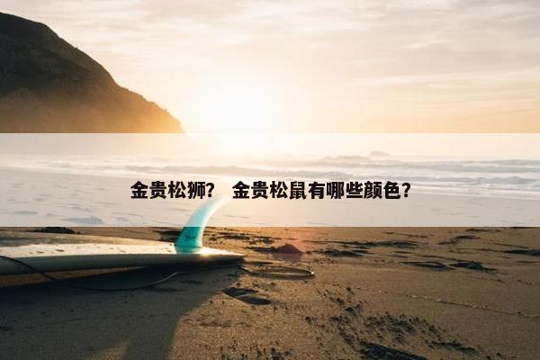 金贵松狮？ 金贵松鼠有哪些颜色？