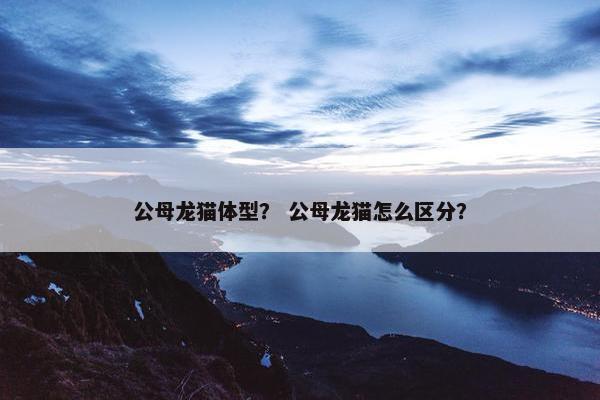 公母龙猫体型？ 公母龙猫怎么区分？