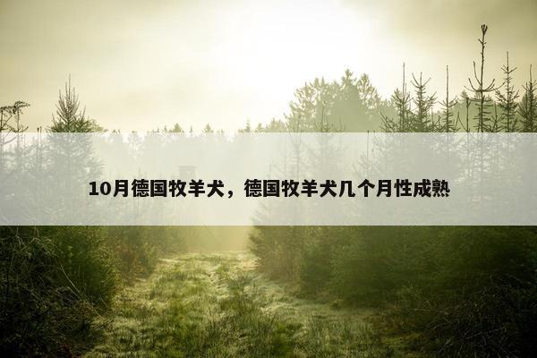 10月德国牧羊犬，德国牧羊犬几个月性成熟
