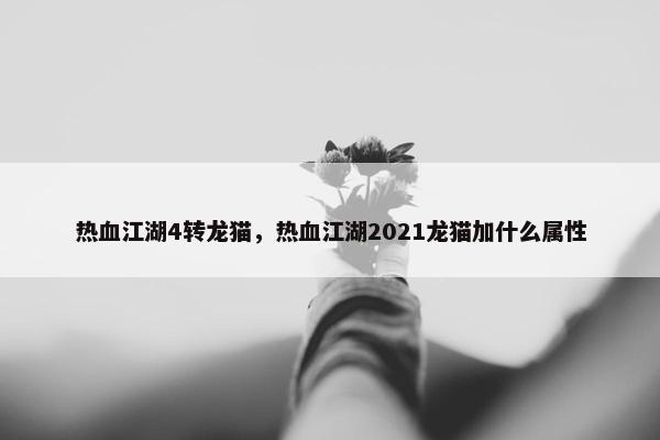 热血江湖4转龙猫，热血江湖2021龙猫加什么属性