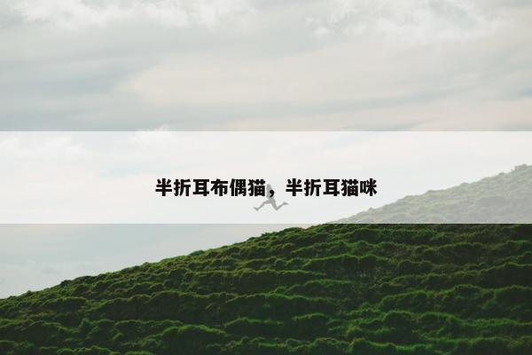 半折耳布偶猫，半折耳猫咪