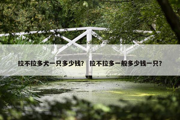 拉不拉多犬一只多少钱？ 拉不拉多一般多少钱一只？