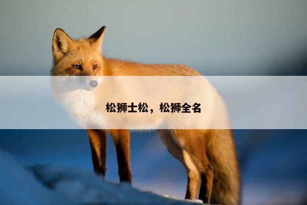 松狮士松，松狮全名