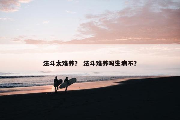 法斗太难养？ 法斗难养吗生病不？