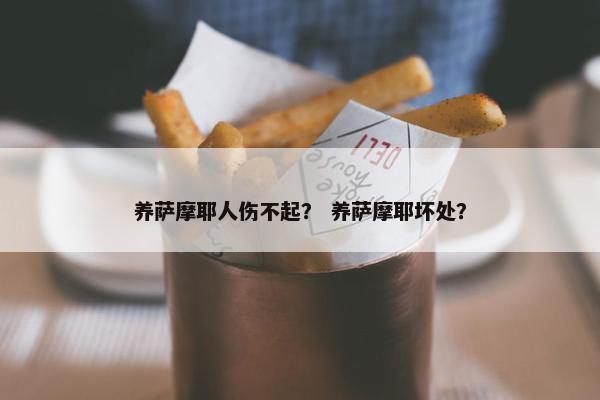 养萨摩耶人伤不起？ 养萨摩耶坏处？